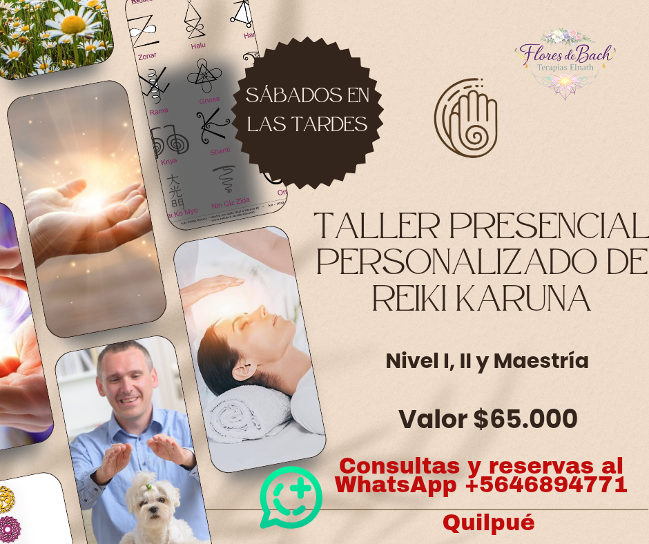 Taller Reiki Karuna - Información